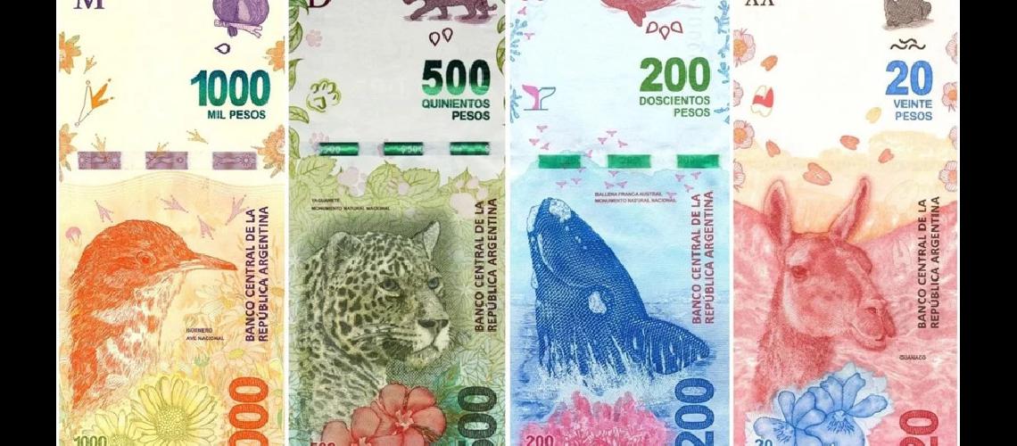 El Banco Central analiza emitir un billete de 2000 o 5000 pesos