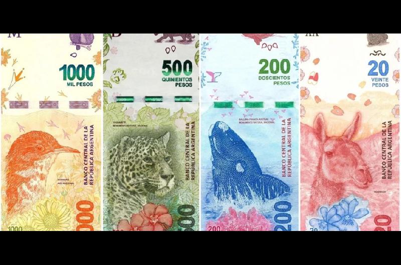 El Banco Central analiza emitir un billete de 2000 o 5000 pesos