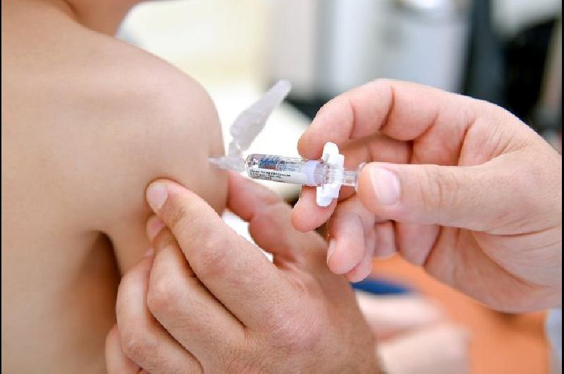 El Gobierno bonaerense comenzoacute a repartir las vacunas contra la meningitis