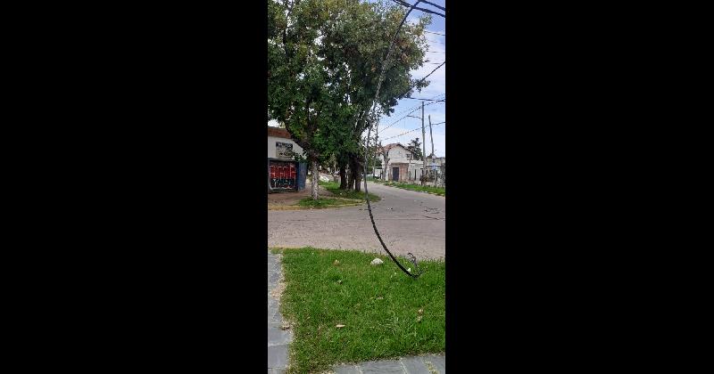 Lomas- un camioacuten se llevoacute puesto los cables de luz en un barrio