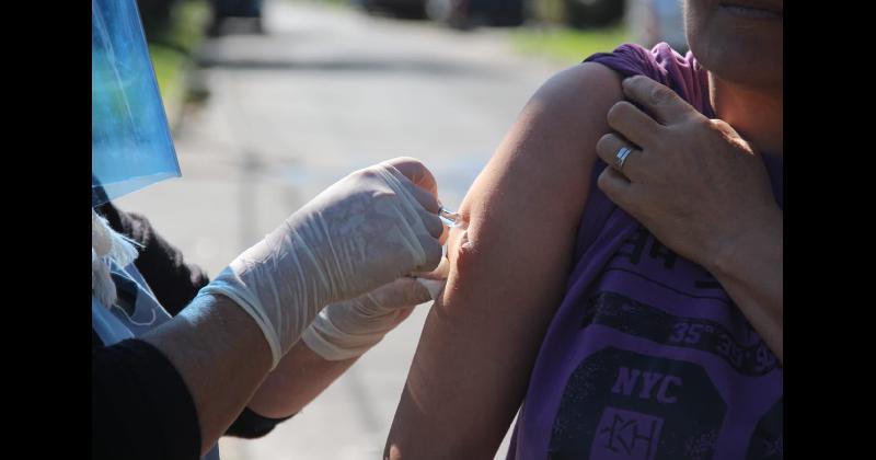Lomas- en una semana el Municipio aplicoacute maacutes de 26 mil vacunas contra la gripe