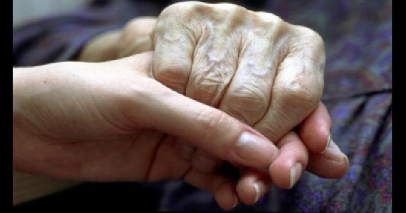 se encargan de crear puentes solidarios