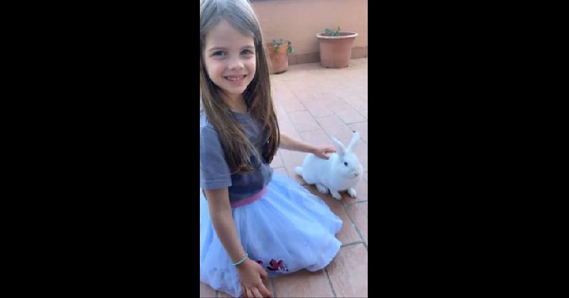 El conejo blanco de Francesca