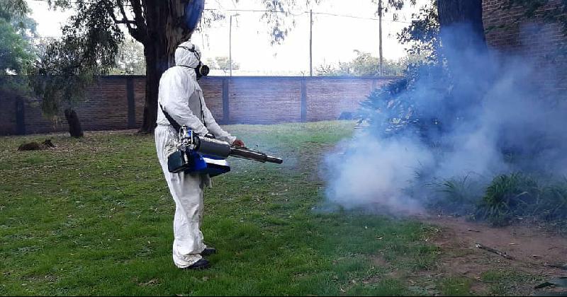Suman tecnologiacutea para combatir al dengue en Lomas