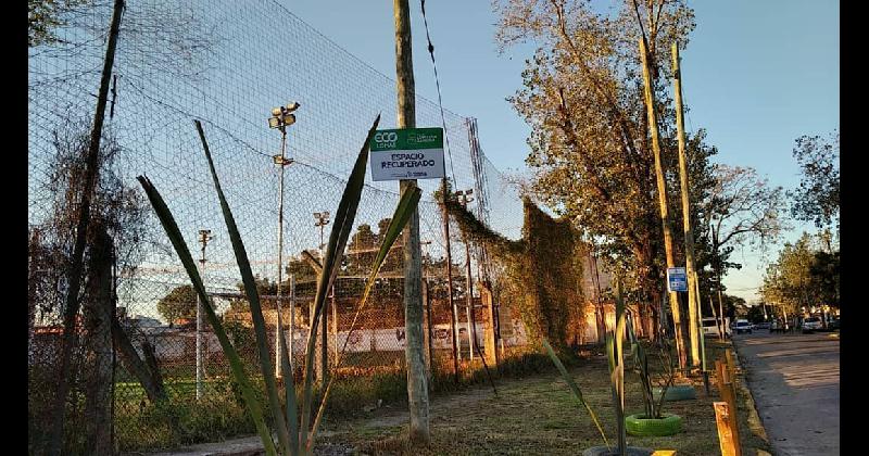 Eco Lomas- recuperaron una esquina donde habiacutea basura ahora hay plantas