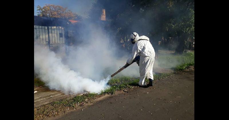 Continuacutean los operativos contra el dengue en todos los barrios de Lomas