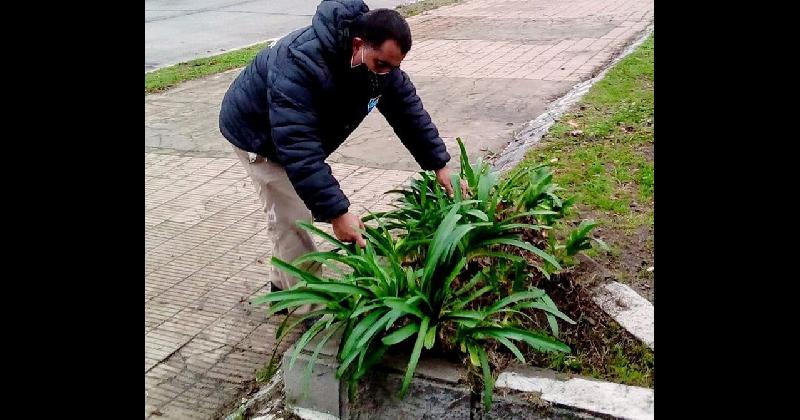 Realizan tareas de mantenimiento en las plazas y los parques de Lomas de Zamora
