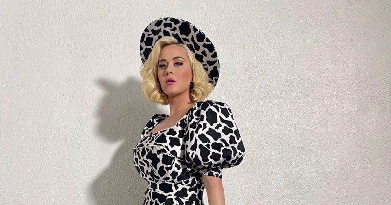 Katy Perry se comparoacute con una vaca lechera