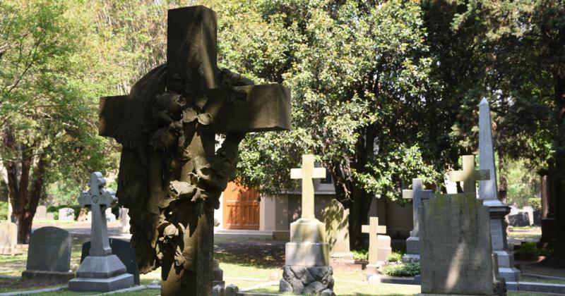 Un paseo por el Cementerio Disidente un sitio lleno de miacutestica