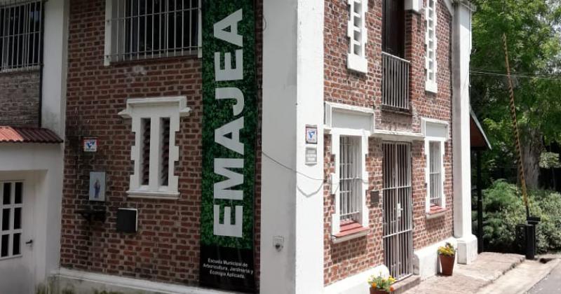 La institución contribuye a preservar rboles en la vía pública