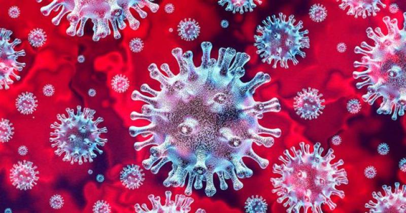 Se detectaron mutaciones del Coronavirus en la Argentina 