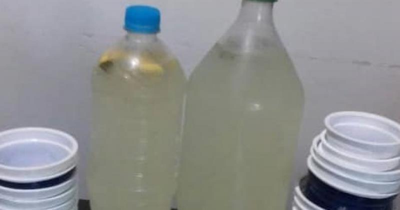 Necesitan limones para llevar bebidas frescas 