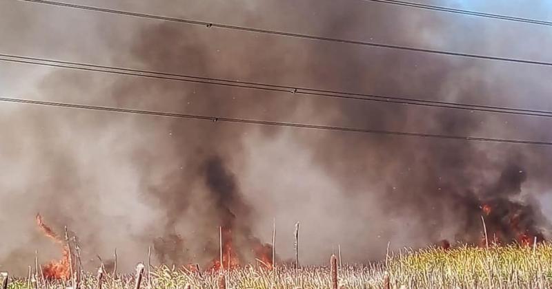 Se desatoacute un incendio forestal en el predio de Covelia