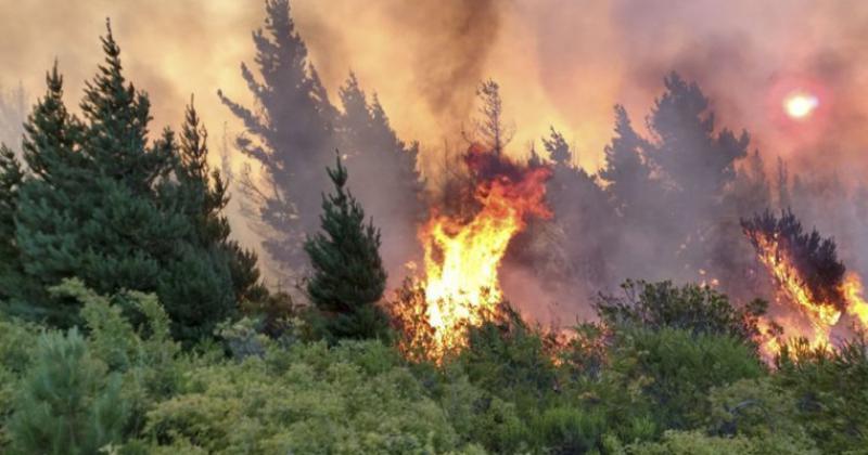 Para colaborar con los afectados por los incendios