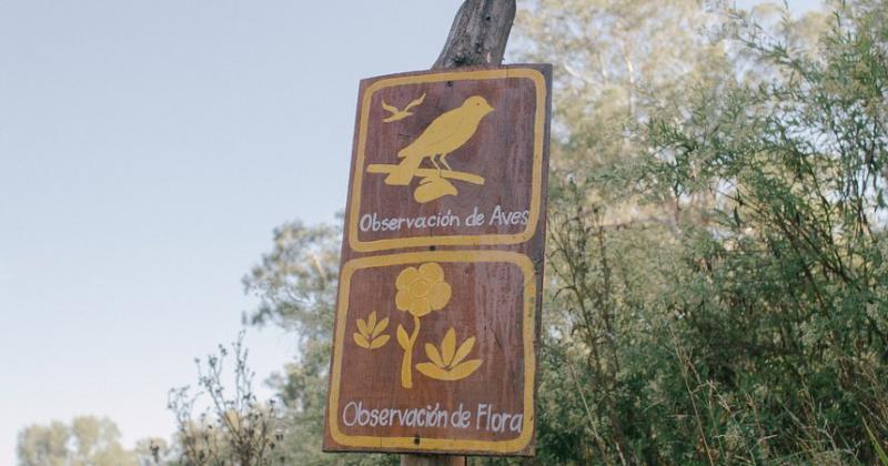 Lanzan un curso de avistaje de aves en Lomas 