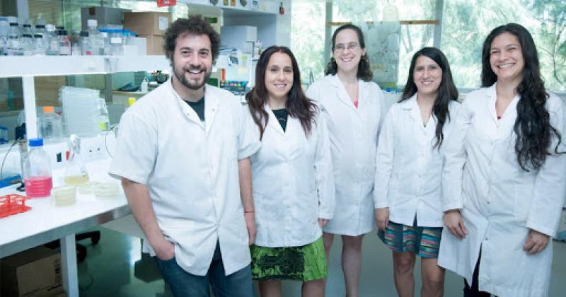 El equipo de trabajo encabezado por Juliana Cassataro 