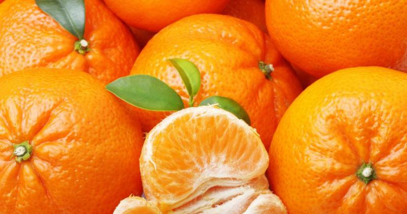 Chupate esta mandarina
