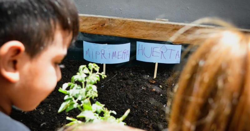 El jardín tiene una huerta que fue creada el año pasado