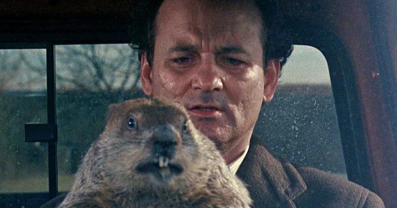 El diacutea de la Marmota de la tradicioacuten al cine