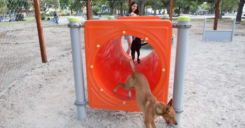 Los parques para mascotas mejoran la relación animal-humano