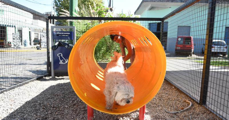 Aseguran que los parques para mascotas fortalecen el viacutenculo con el humano