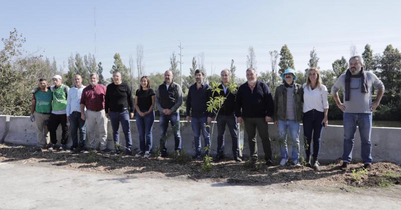  Plantaron m�s 300 �rboles nativos para crear un corredor multiespecie
