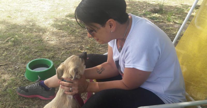 Karina va siempre que puede para ayudar a los perritos que esperan un hogar