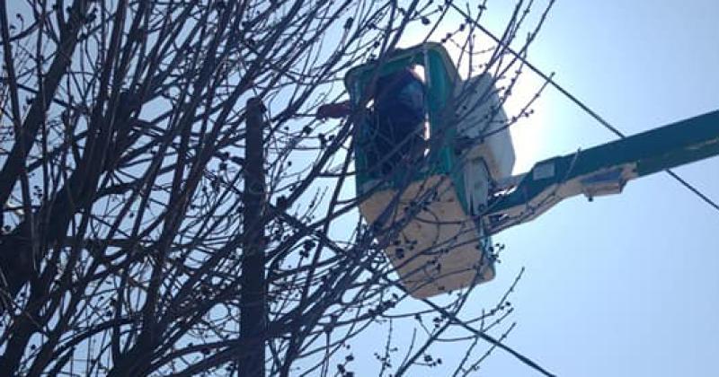 Defensa Civil Lomas intervino para aislar el cable y colocarlo en altura