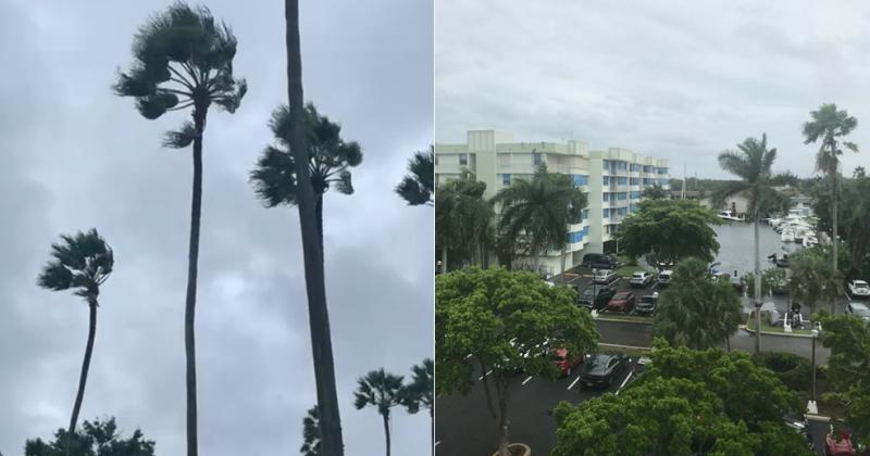 Las palmeras se sacuden en Disney En Miami parece que lo peor ya pasó