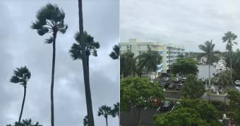 Las palmeras se sacuden en Disney En Miami parece que lo peor ya pasó