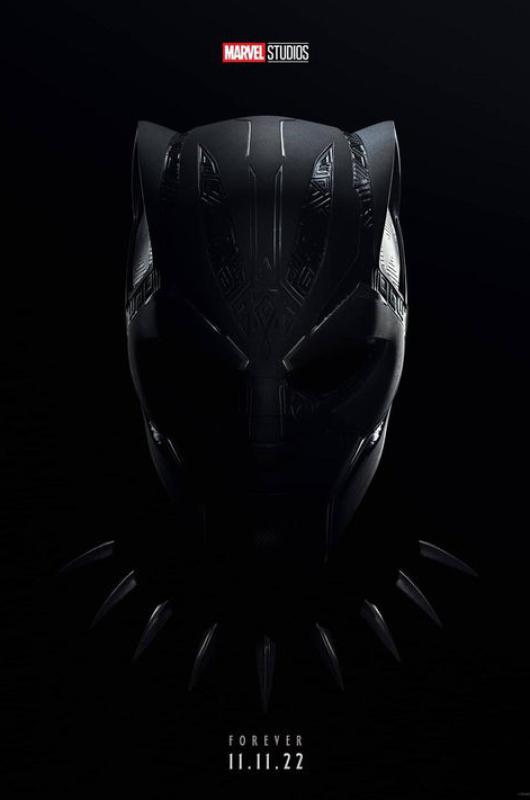 Pantera negra 2- Wakanda por siempre