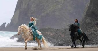 Murió un caballo en el set