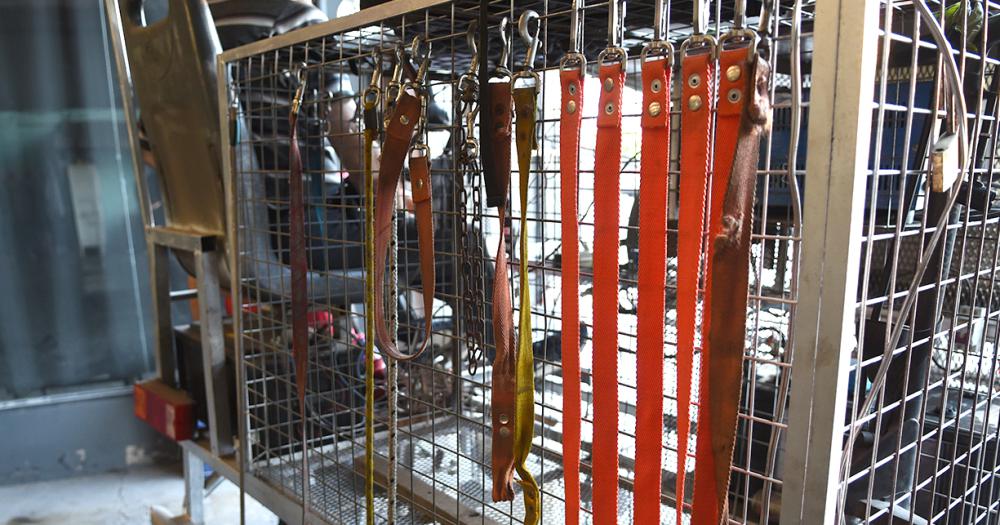 La nave correcaninos el invento lomense para pasear perros