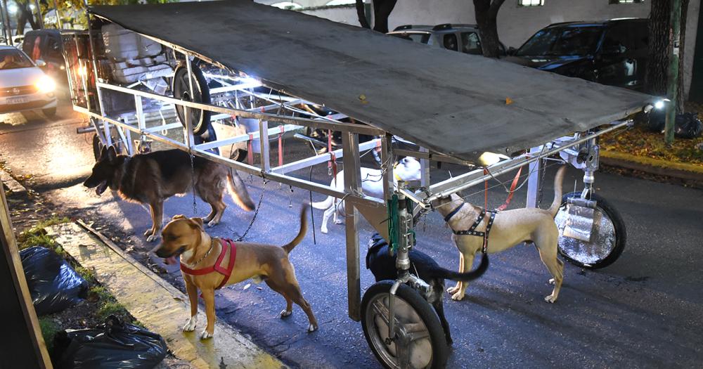 La nave correcaninos el invento lomense para pasear perros