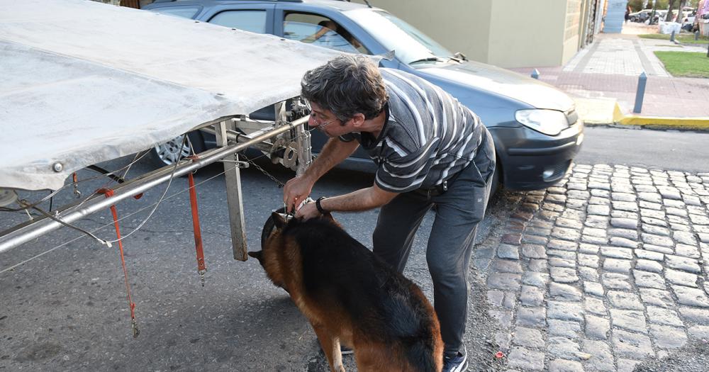 La nave correcaninos el invento lomense para pasear perros
