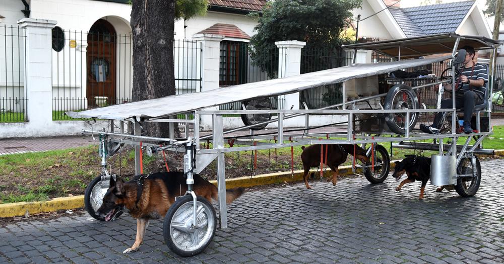 La nave correcaninos el invento lomense para pasear perros