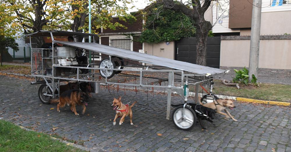 La nave correcaninos el invento lomense para pasear perros