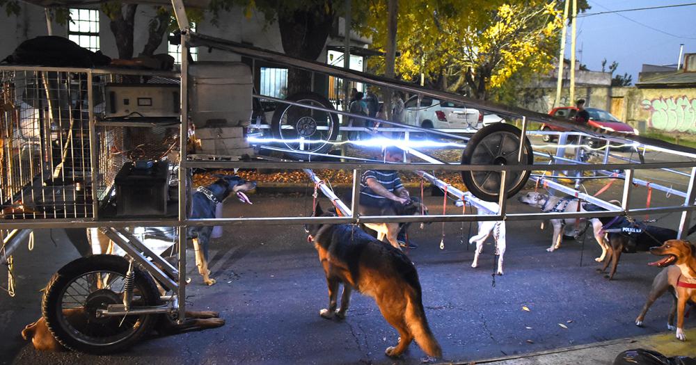 La nave correcaninos el invento lomense para pasear perros