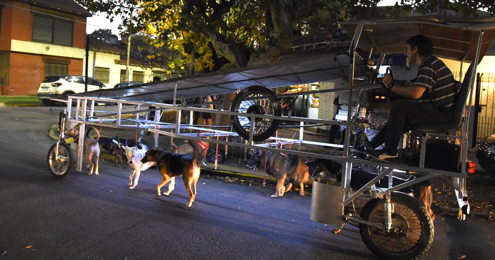 La nave correcaninos el invento lomense para pasear perros