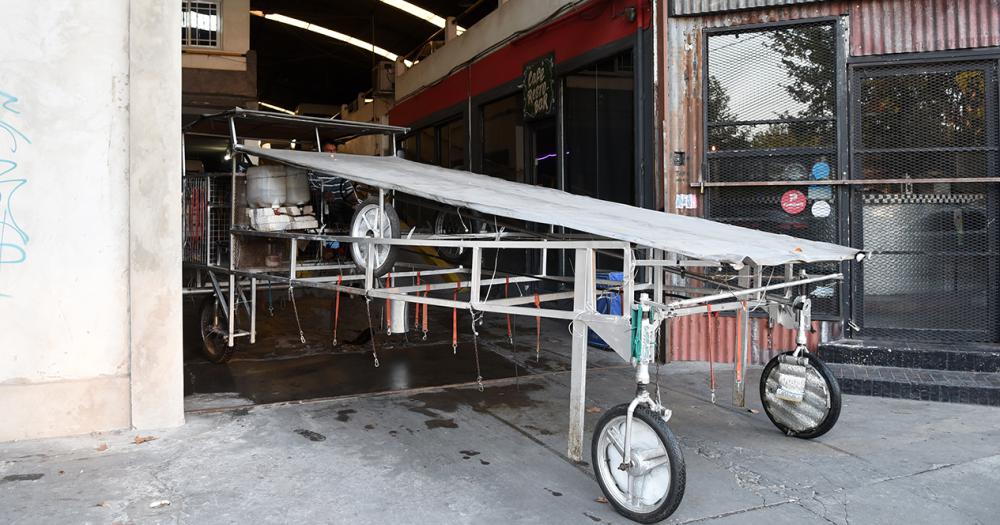La nave correcaninos el invento lomense para pasear perros