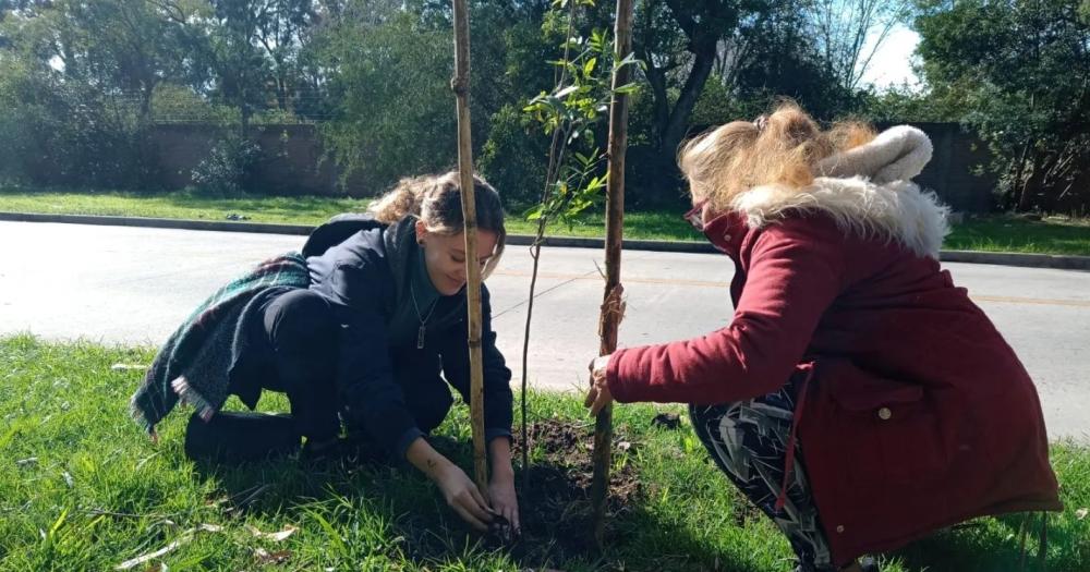 Plantaron 50 rboles nativos en el Parque de Llavallol