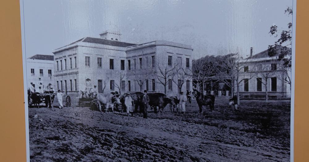 Los antepasados de Cecilia Grierson con raiacuteces escocesas y lomenses
