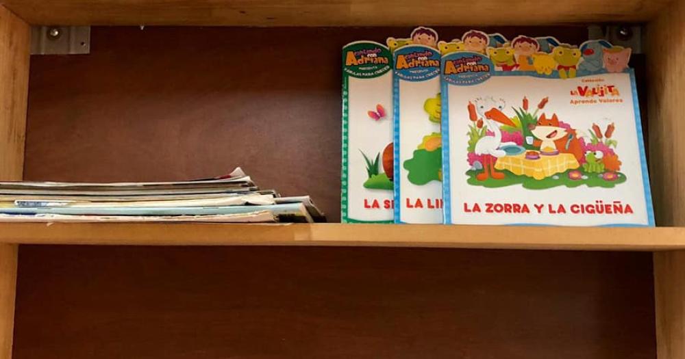 Necesitan m?s libros de cuentos y un mueble para que queden disponibles en el ?rea de pediatría