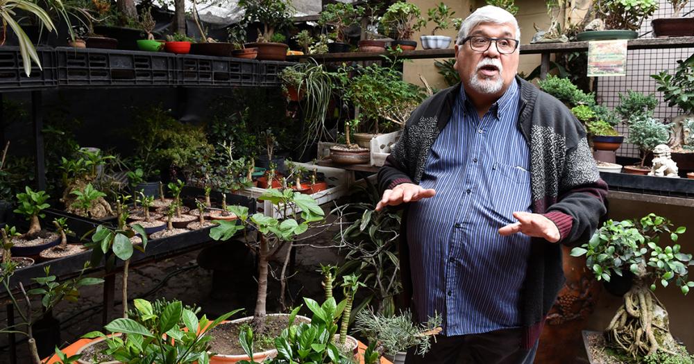 Es de Banfield y hace 50 antildeos se dedica al cultivo de bonsaacutei