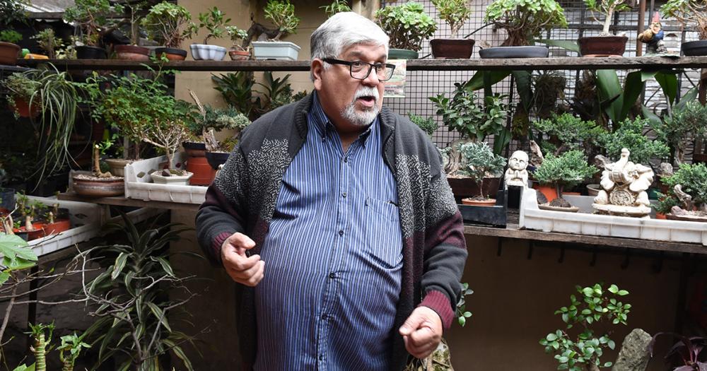 Es de Banfield y hace 50 antildeos se dedica al cultivo de bonsaacutei