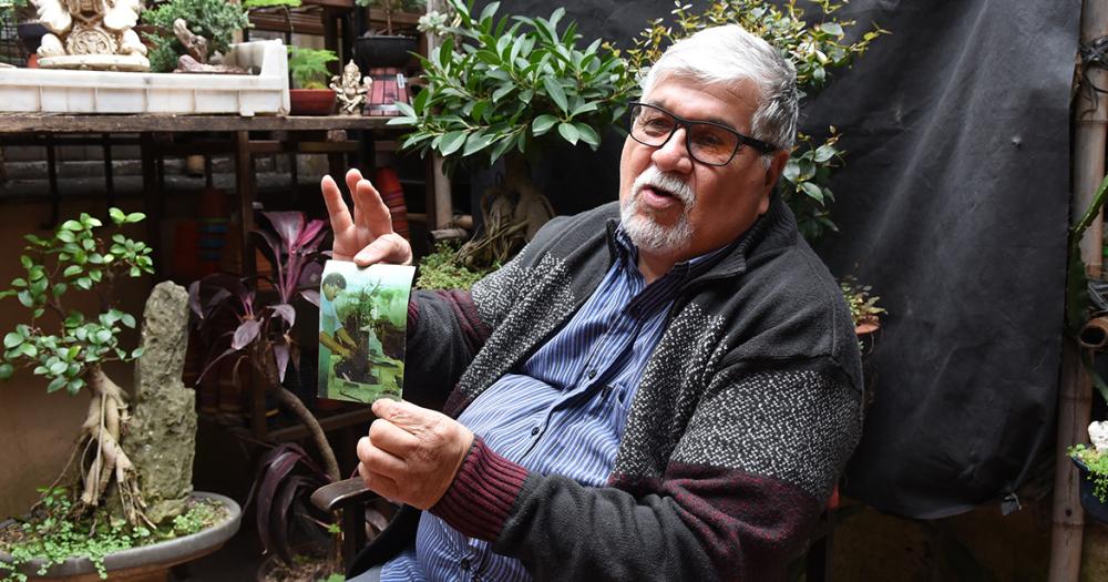 Es de Banfield y hace 50 antildeos se dedica al cultivo de bonsaacutei