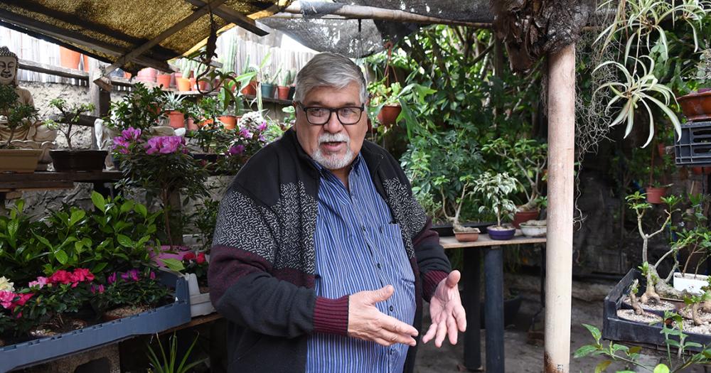 Es de Banfield y hace 50 antildeos se dedica al cultivo de bonsaacutei