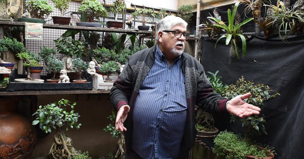 Es de Banfield y hace 50 antildeos se dedica al cultivo de bonsaacutei