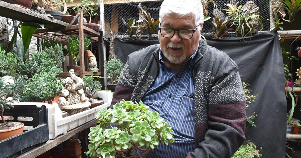 Es de Banfield y hace 50 antildeos se dedica al cultivo de bonsaacutei