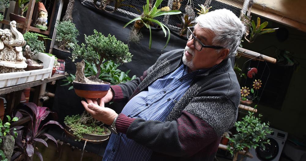 Es de Banfield y hace 50 antildeos se dedica al cultivo de bonsaacutei